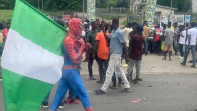 Spiderman costume arrested