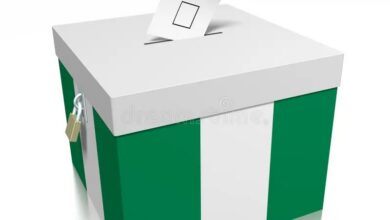 3D illustration. Nigeria - ballot box isolated on white background Credit: © PX_Media | Dreamstime.com