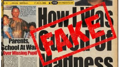 A scanned newspaper front page from PM News dated July 17, 2006, with a large red “FAKE” stamp across the page. The main headline reads “Low Madness,” with a subheadline mentioning Peter Obi, Anambra’s governor, giving testimony in church.