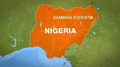 Nigeria Map