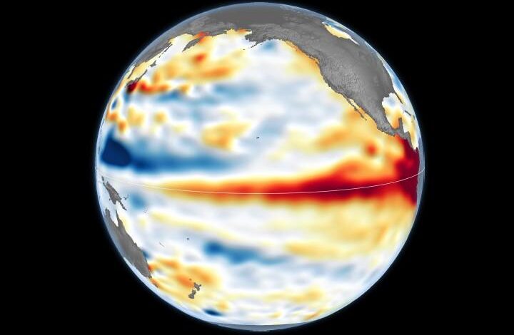 Satellite observations show changes in the Pacific Ocean associated with El Niño. Image credit: NASA Earth Observatory/Lauren Dauphin, using Copernicus Sentinel data.